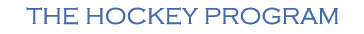 hockeytab